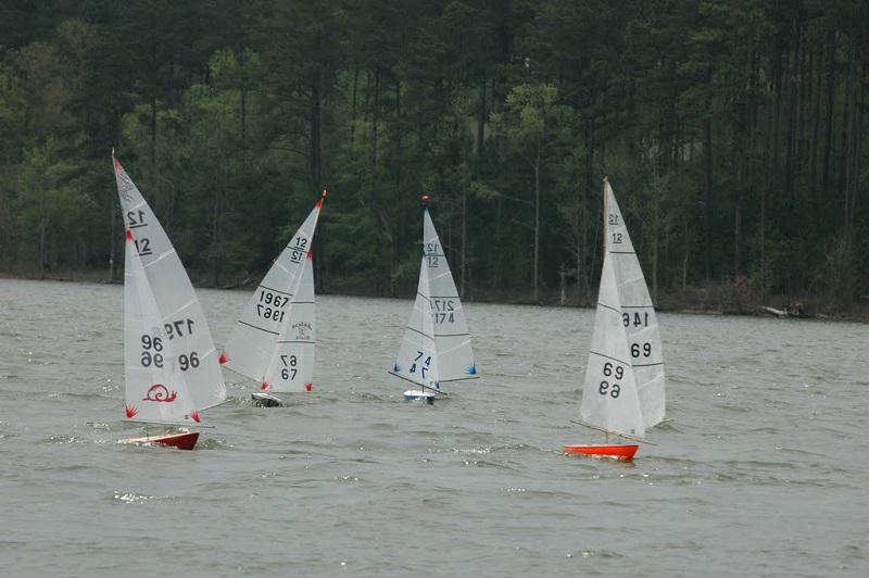 DSC_0096 good pic 1796 800 532.jpg